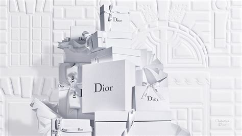 cristian dior italia|christian dior official website.